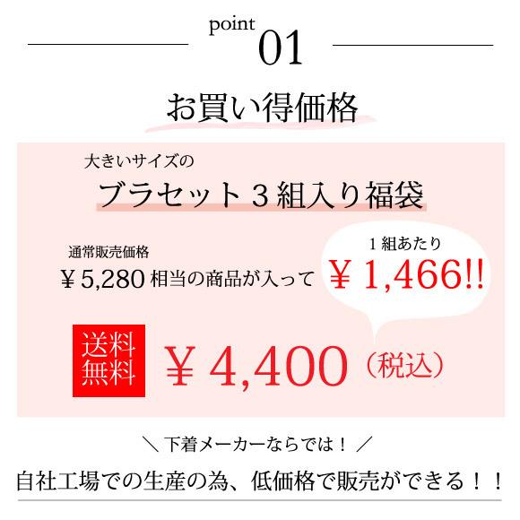 大きいサイズ 福袋 ブラジャー ショーツ 下着 女性 上下 セット レディース インナー ブラ 3枚 Gカップ Hカップ Iカップ 2024 [メール便不可]｜nico-ins｜02