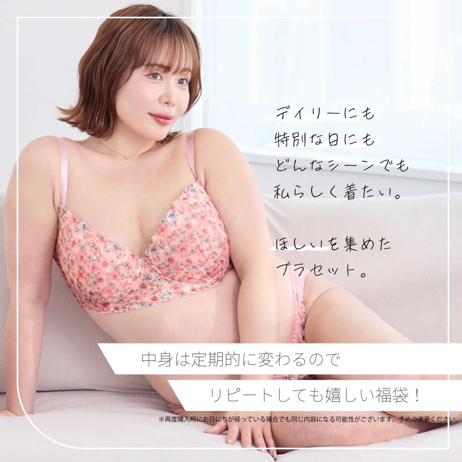 ブラジャー ショーツ 3枚組 福袋 B85-I95 大きいサイズ 上下セット