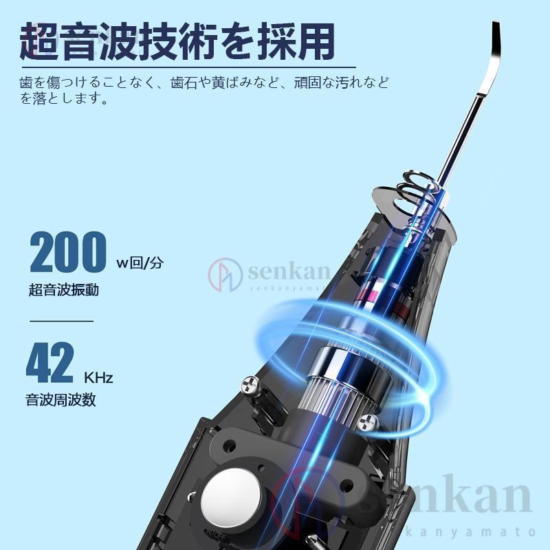 口腔洗浄器 超音波口腔洗浄器 内視鏡付き 電動歯ブラシ 三段階調節 口腔ケア IPX7防水 歯磨き 矯正 オーラルケア 歯垢洗浄 口臭防止 ひとり 一人用 Tpye-C充電｜nico-land｜04