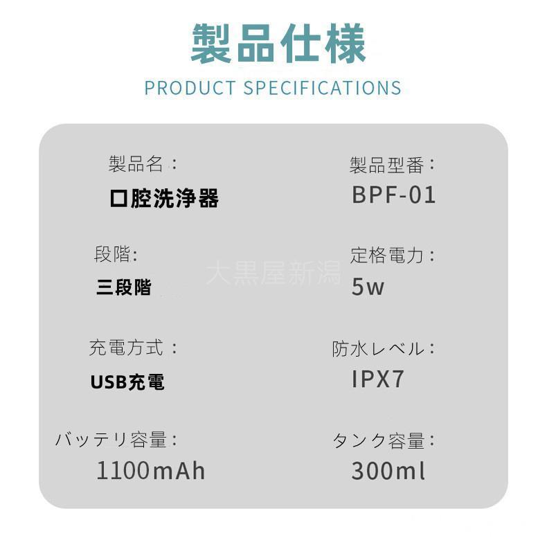 口腔洗浄器 口腔ケア 鼻洗浄器 ジェットウォッシャー 歯ブラシ Ipx7防水 水流洗浄 強弱切り替え 舌磨き USB充電式 歯垢洗浄 母の日 プレゼント｜nico-land｜08