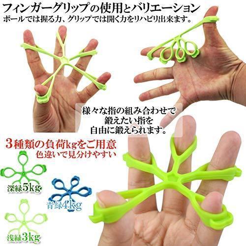最旬ダウン ウエイトトレーニング Rajjo ラッジョ握力トレーニング ハンドグリップ リハビリボール 指ストレッチャー 筋力 鍛える 回復 手 指 強 Ism Com Ge