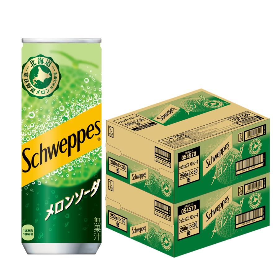 シュウェップス コカ・コーラ メロンソーダ 250ml 缶 60本 (2ケース