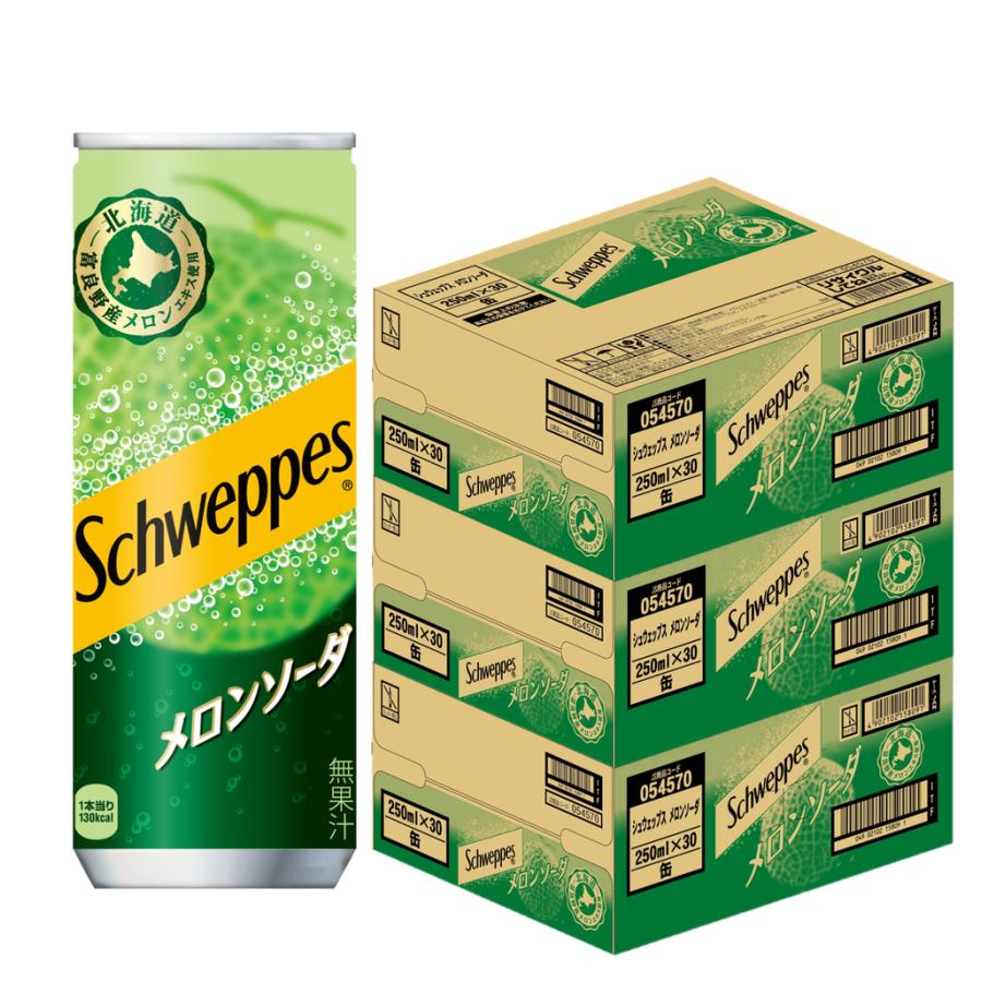シュウェップス コカ・コーラ メロンソーダ 250ml 缶 90本 (3ケース