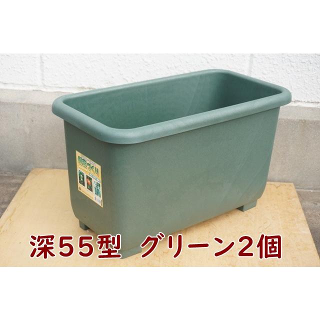 エコプランター ２個セット 深55型 グリーン 送料込 | 
