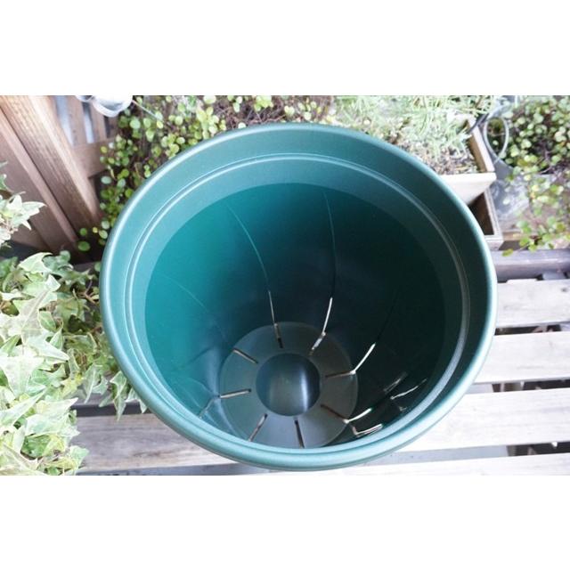 スリット鉢 １０号 根はり鉢 ダークグリーン スリット 鉢 プランター おしゃれ 植木鉢 野菜 家庭菜園 |  | 01