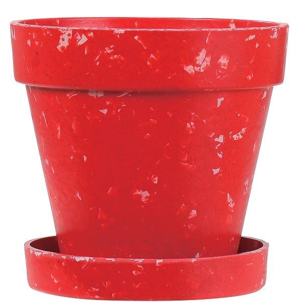 エコポットamp ソーサー 3 5号 レッド 土に還る鉢 鉢皿付き Blog Diploma Msc