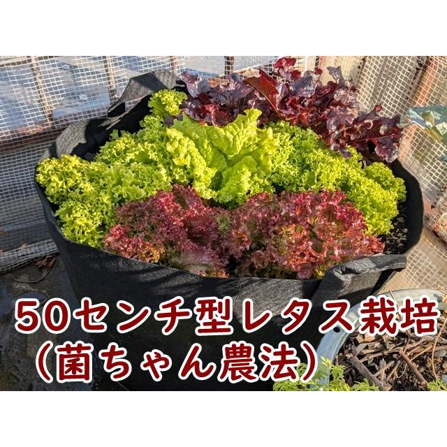 不織布プランター 直径40cm タフガーデンバッグ 厚地 持ち手付き