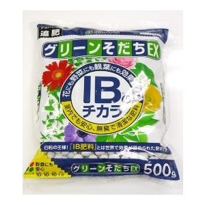 肥料 緩効性化成肥料 グリーンそだちｅｘ 500ｇ Nicoco プランター菜園を楽しむ会 通販 Yahoo ショッピング