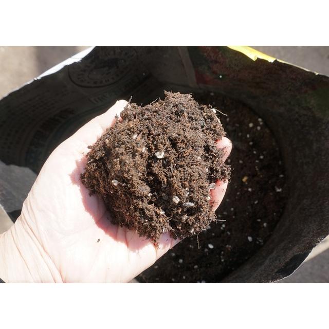 有機野菜をつくる土 １４L 1袋 有機栽培 土 送料込 |  | 01