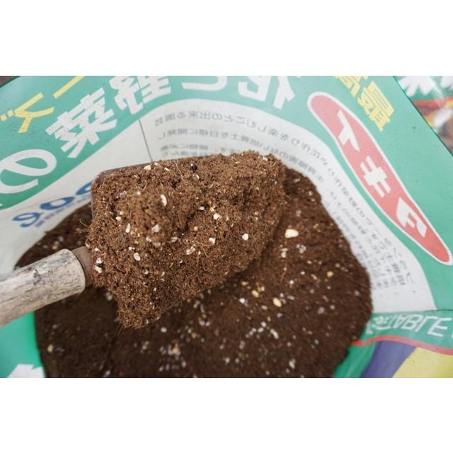 花と野菜の土 l 1袋 タキイ最高級培養土 送料込 Nicoco プランター菜園を楽しむ会 通販 Yahoo ショッピング