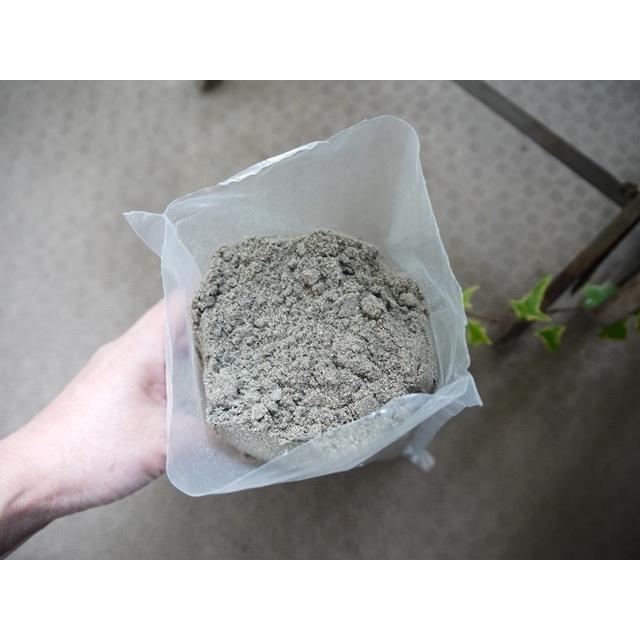 竹・竹炭パウダー 竹パウダー 乳酸菌の力で土壌改良 |  | 02