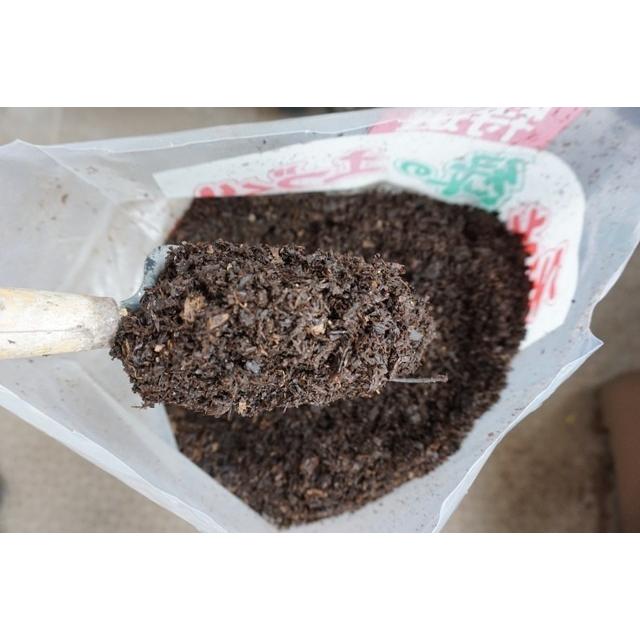 腐葉土 20Ｌ 奈良紅葉 国産 土壌改良 送料込 |  | 02