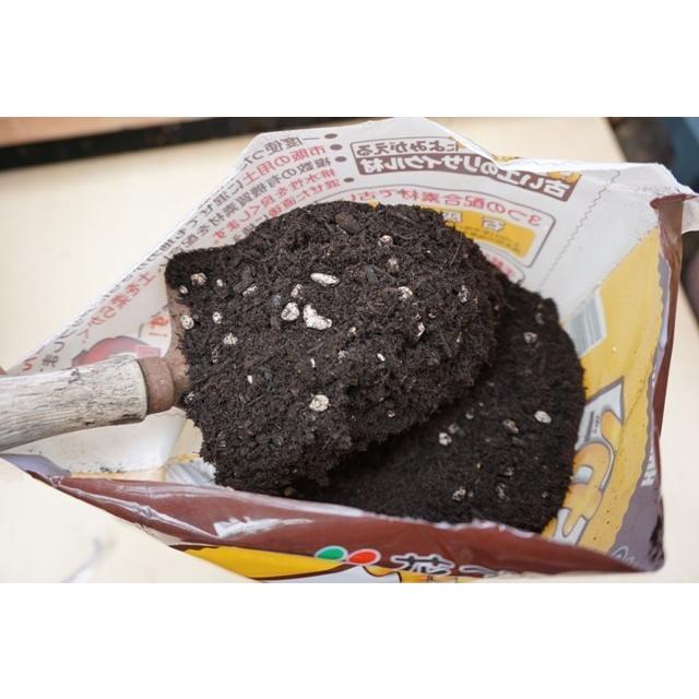 古い土の再生材セット 65cm標準プランター10個分がリサイクルできるセット Nicoco プランター菜園を楽しむ会 通販 Yahoo ショッピング