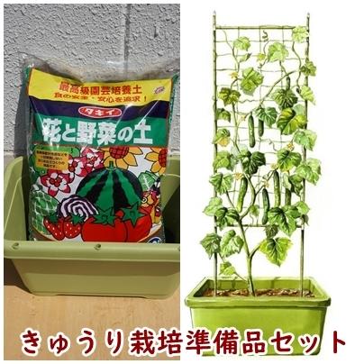 きゅうり栽培準備品セット キュウリ２本分の土 プランター ネット支柱のセット Nicoco プランター菜園を楽しむ会 通販 Yahoo ショッピング