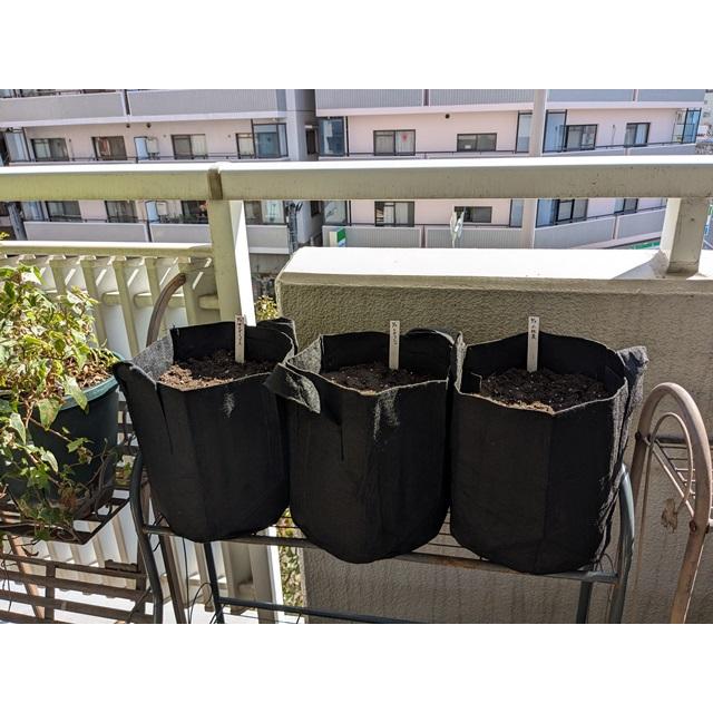 不織布プランター栽培セット ラディッシュ 送料込 |  | 05