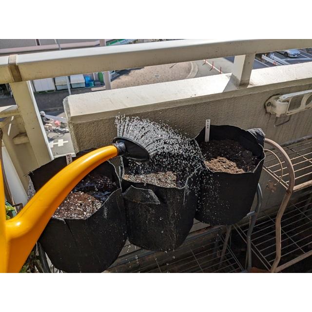 不織布プランター栽培セット ラディッシュ 送料込 |  | 06