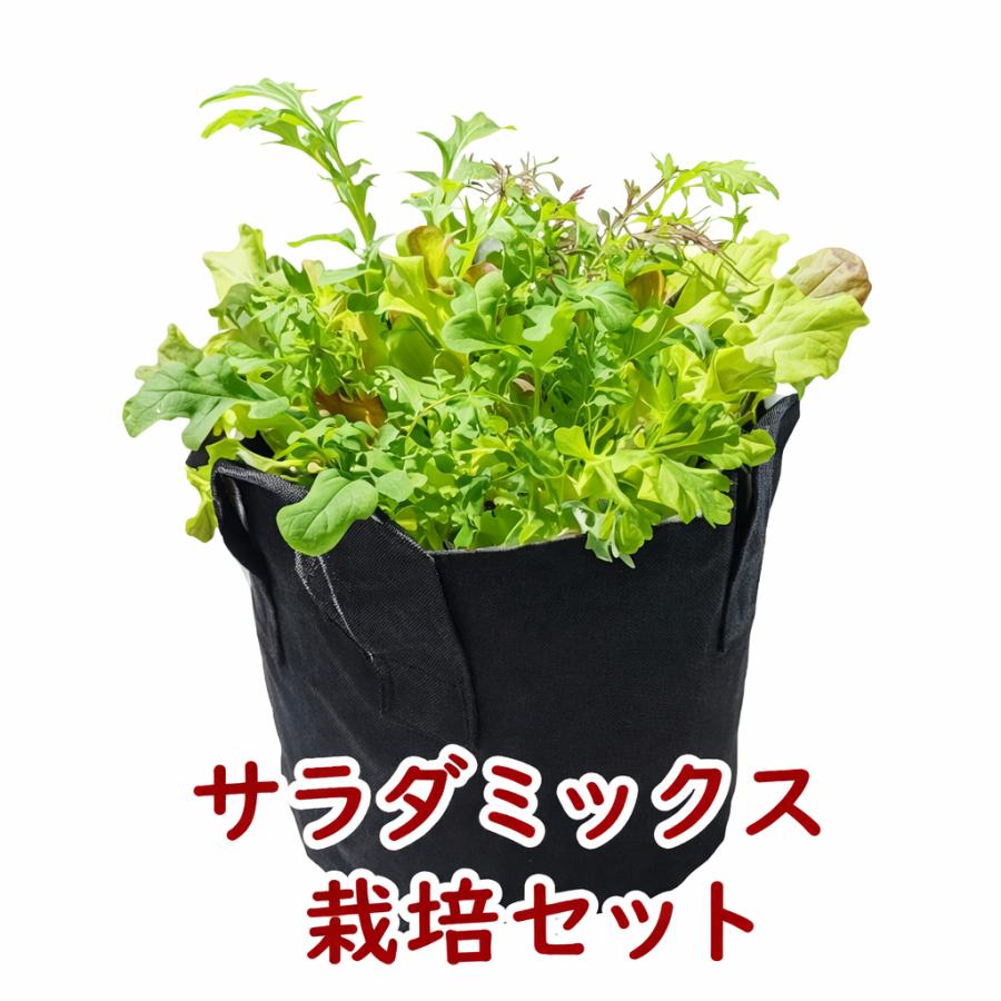 不織布プランター栽培セット サラダミックス 送料込 | 