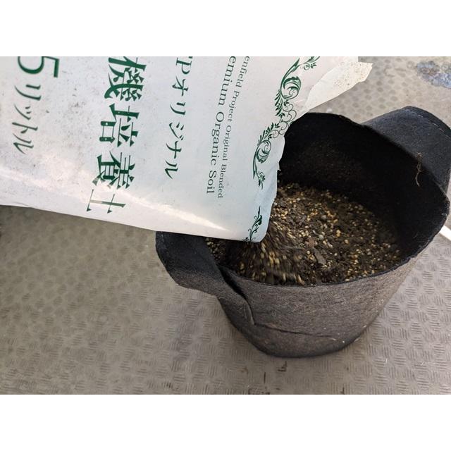 不織布プランター栽培セット サラダミックス 送料込 |  | 02