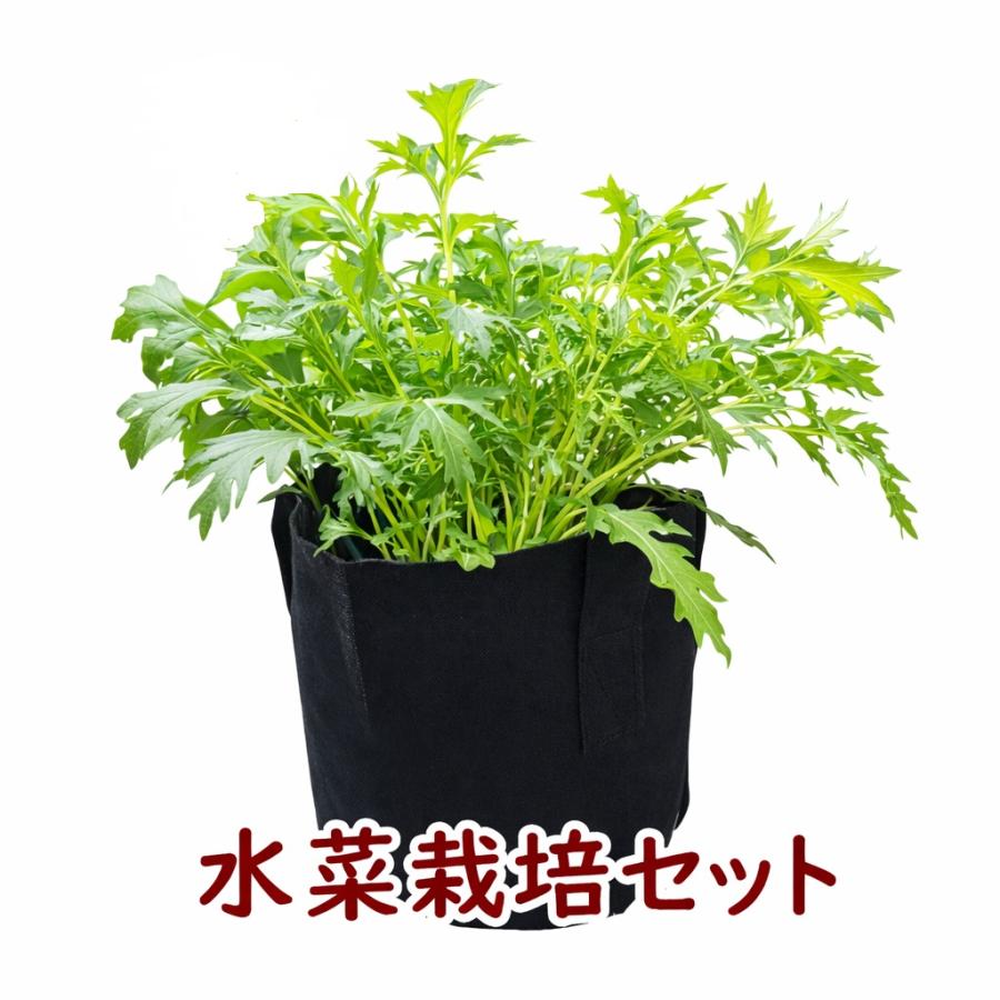 不織布プランター栽培セット 水菜 送料込 : Nicoco プランター菜園を