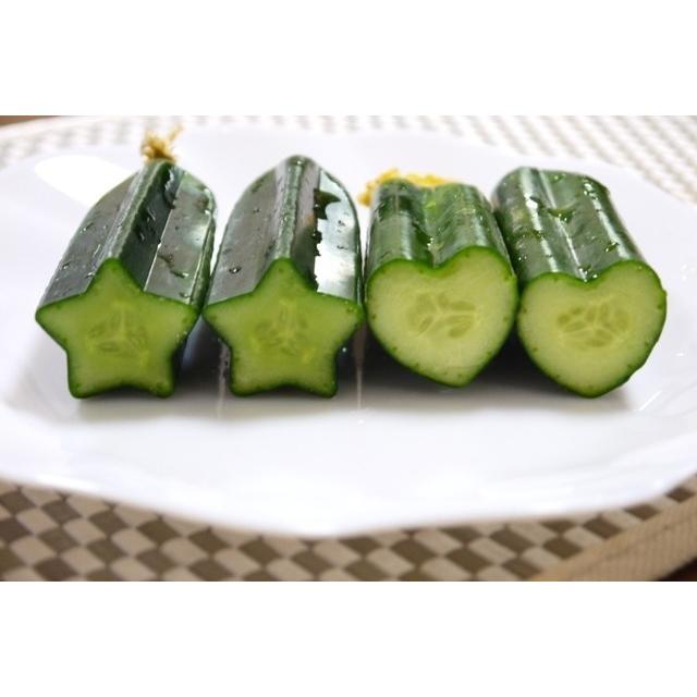 予約 デコきゅう きゅうりの型どりケース 星とハートセット きゅうり 型 Supplystudies Com