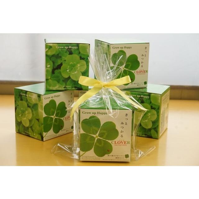 4セット）グロウボックス植物栽培（おまけ有り）