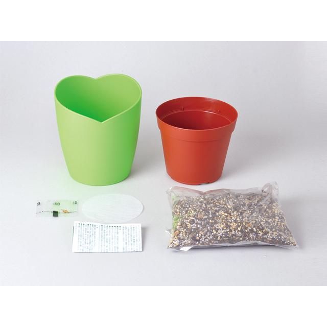 栽培セット 四つ葉 栽培キット  四葉のクローバー |  | 04