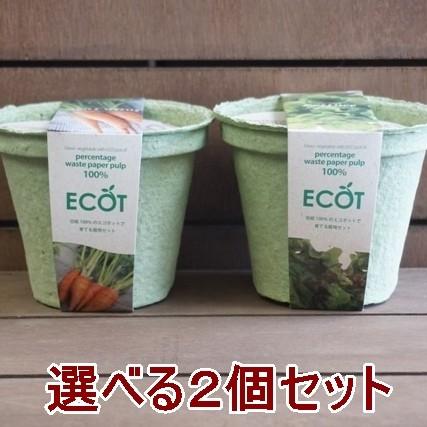野菜 栽培セット 選べる２個セット エコットM 送料込 | 