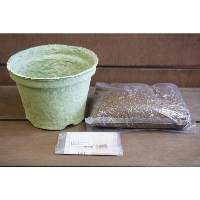 ハーブ 栽培セット 選べる２個セット エコットS 送料込 |  | 06