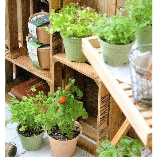 野菜 栽培キット 選べる４個セット エコットM 送料込 |  | 02