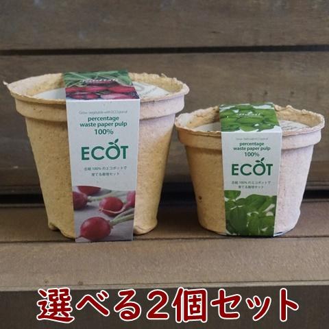 野菜 ハーブ 栽培セット 選べる２個セット エコット 送料込 | 