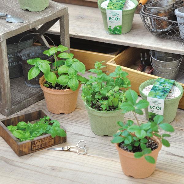 野菜 ハーブ 栽培セット 選べる２個セット エコット 送料込 |  | 01