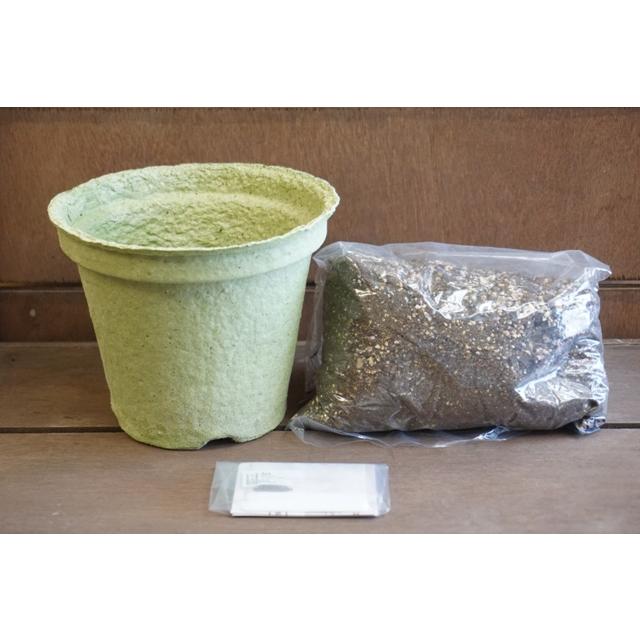 野菜 ハーブ 栽培セット 選べる２個セット エコット 送料込 |  | 13