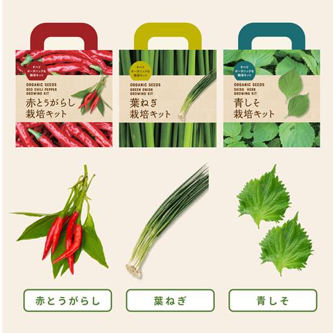 オーガニック栽培キット 選べる４個セット エコ栽培キット 送料込 |  | 12