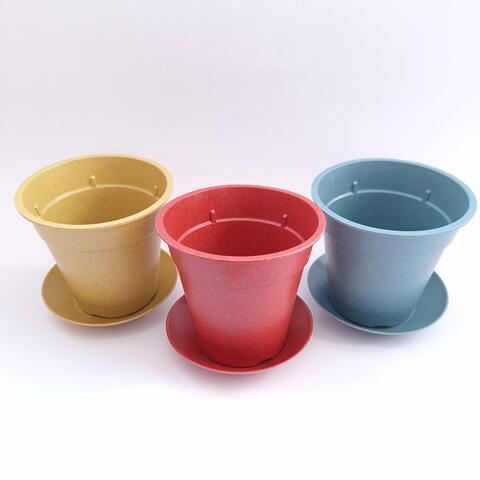 オーガニック栽培キット 選べる４個セット エコ栽培キット 送料込 |  | 02