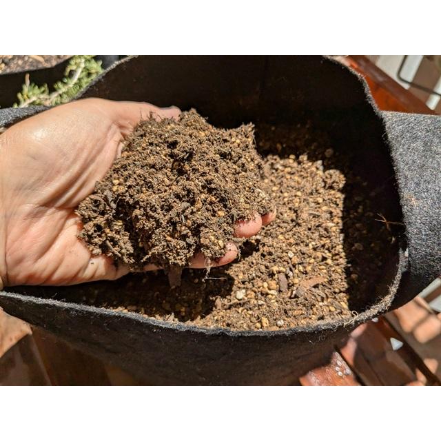 オーガニック栽培キット 選べる４個セット エコ栽培キット 送料込 |  | 04