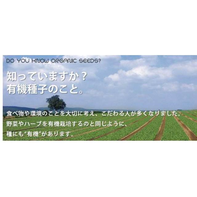 オーガニック栽培キット 選べる４個セット エコ栽培キット 送料込 |  | 05