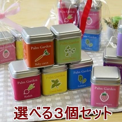 野菜とハーブの小さな栽培セット 選べる3個セット パームガーデン 送料込 | 