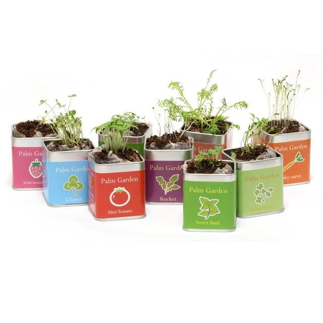 レモンバーム栽培セット パームガーデン  ハーブ栽培セット |  | 02