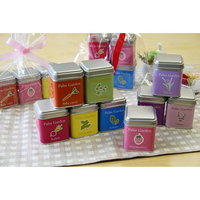 タイム栽培セット パームガーデン タイム  ハーブ栽培セット |  | 01