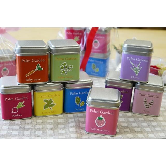 ラディッシュ栽培セット パームガーデン 栽培キット |  | 01