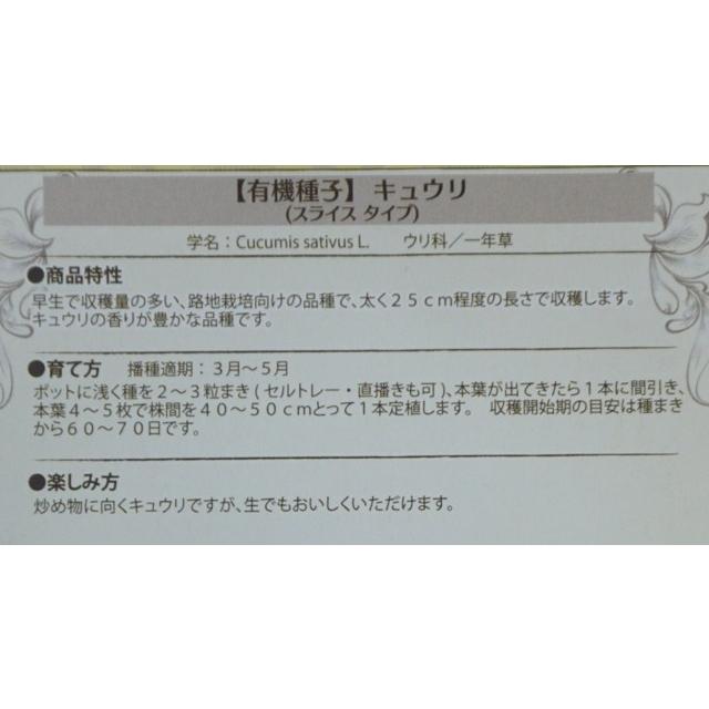 有機種子 固定種 キュウリ 0.7g 種 スライスタイプ きゅうり 小袋 2023年5月期限|nicoco|03