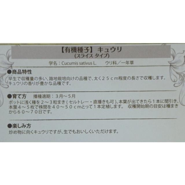 有機種子 固定種 キュウリ 20粒 種 スライスタイプ きゅうり 小袋 2024年11月期限｜nicoco｜03