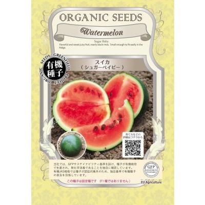 有機種子 固定種 スイカ 種 シュガーベイビー 小玉スイカ 20粒 2026年11月期限 | 