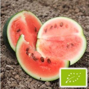 有機種子 固定種 スイカ 種 シュガーベイビー 小玉スイカ 20粒 2026年11月期限 |  | 01
