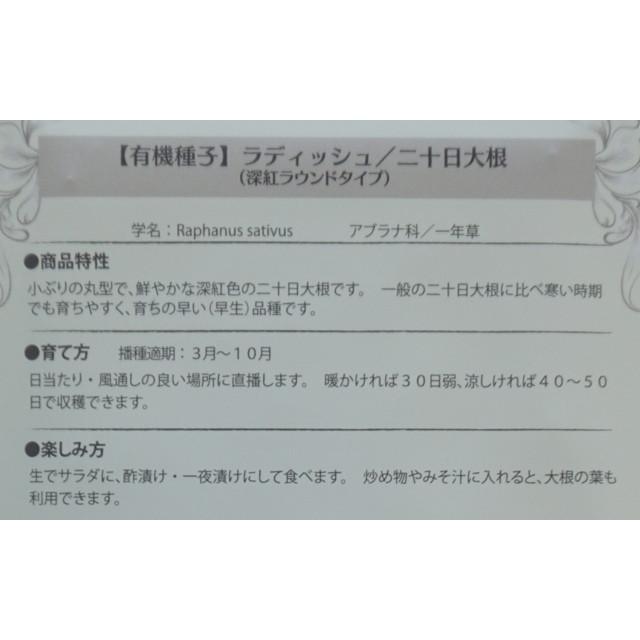 有機種子 固定種 ラディッシュ 種 二十日大根 深紅ラウンドタイプ 2ｇ 小袋 2027年5月期限 |  | 02