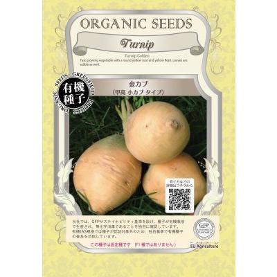 有機種子 固定種 金カブ 種 甲高 小カブ 2ｇ 小かぶ 蕪 小袋 2026年5月期限 | 