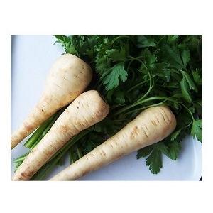 有機種子 固定種 パースニップ テンダ アンド トゥルー 1.2ｇ 種 種子 小袋 2026年11月期限 |  | 01