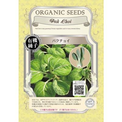 有機種子 固定種 パクチョイ 0.7g 種 チンゲンサイ タイサイ 小袋 2026年11月期限 | 