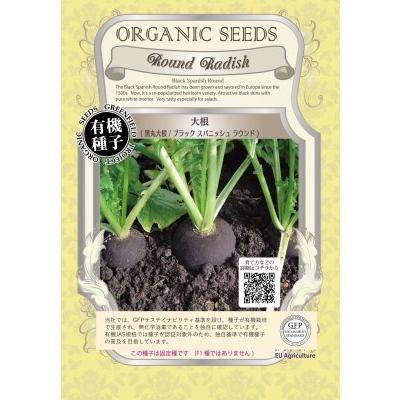 有機種子 固定種 大根 種 黒丸大根 3ｇ 種子 ブラック スパニッシュ 小袋 2026年5月期限 | 