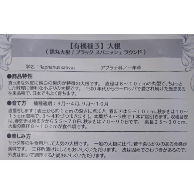 有機種子 固定種 大根 種 黒丸大根 3ｇ 種子 ブラック スパニッシュ 小袋 2026年5月期限 |  | 02